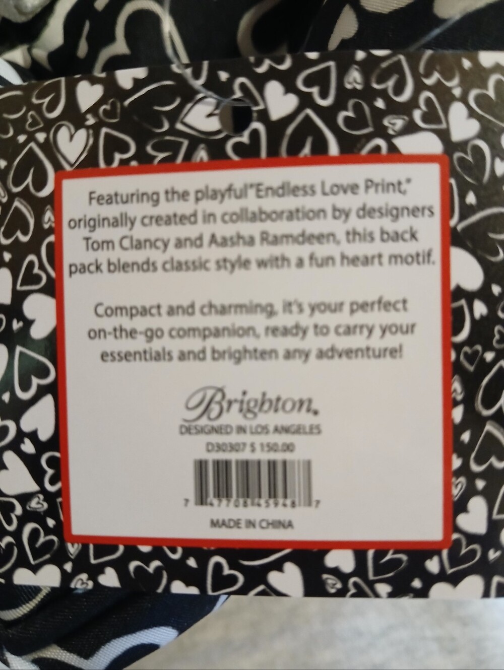 Brighton Small Back Pack - Picture 4 of 4